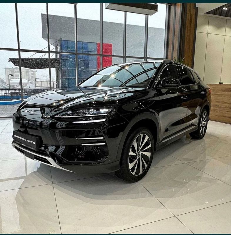 Byd chempion 605