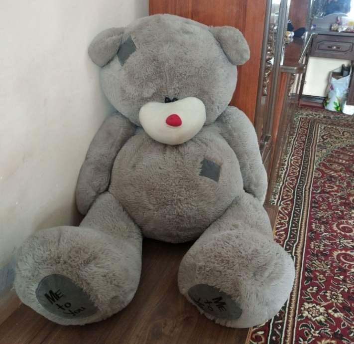 Teddy ayiq sotiladi Teddy ayiq sotiladi