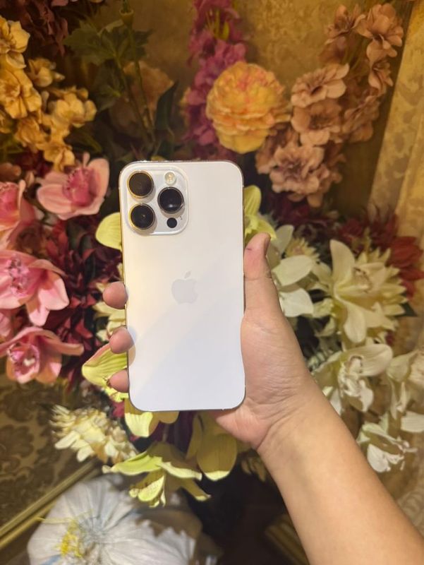 14 pro max 128gb