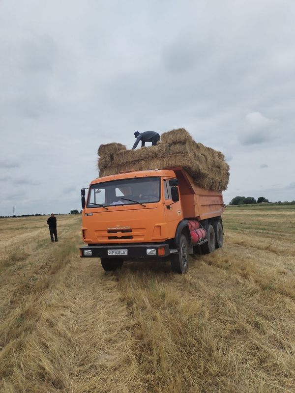 Kamaz samasval sotiladi