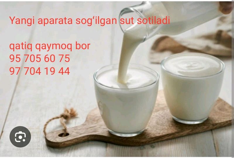 qaymogʻi olinmagan sut sotiladi qaymogʻi olinmagan sut sotiladi
