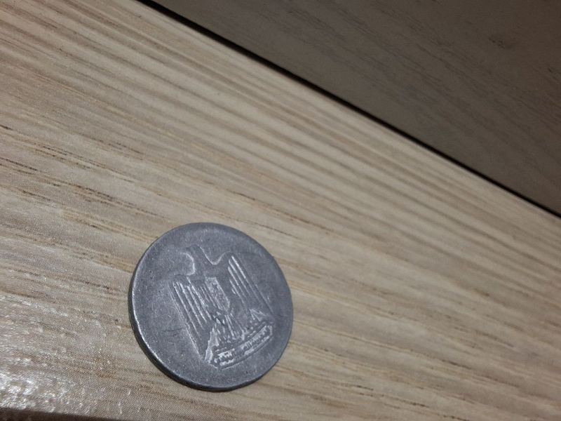 Egyt tangasi . Egyt tangasi .