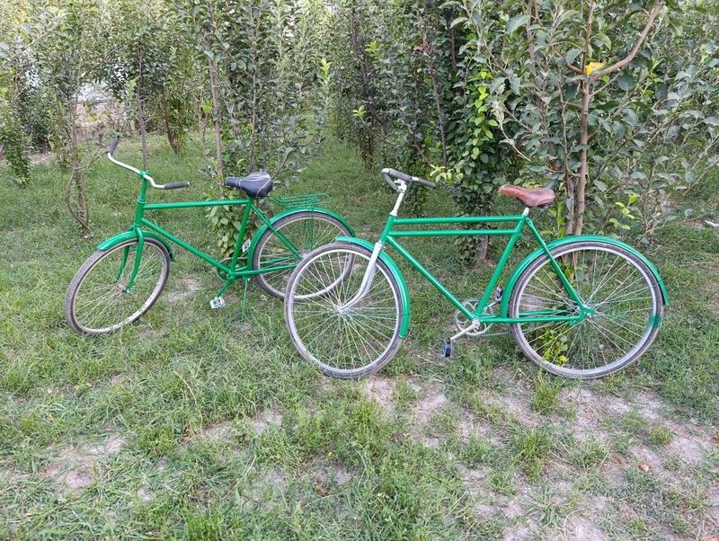Velosiped sotiladi Velosiped sotiladi