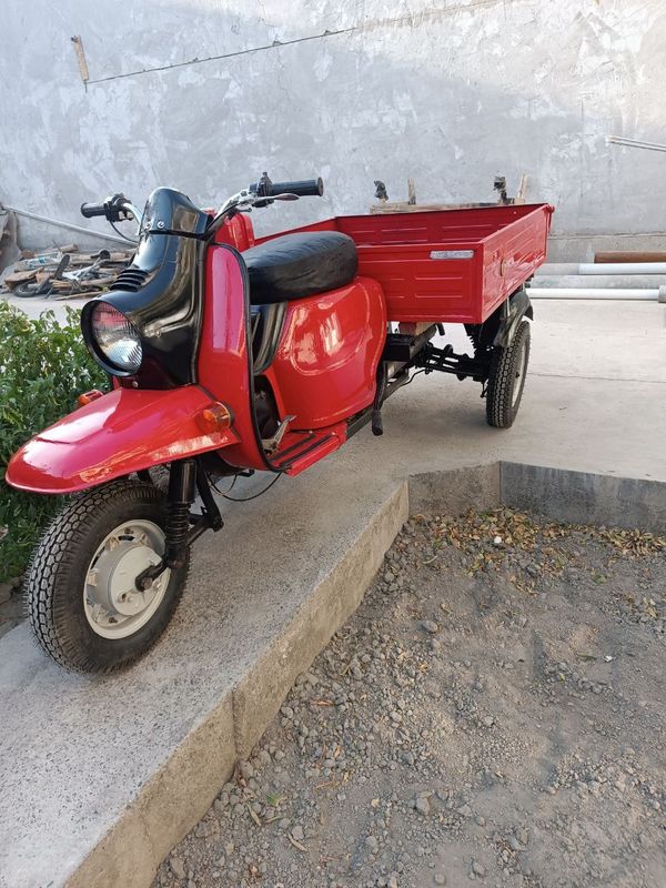 Motorol (муравей)