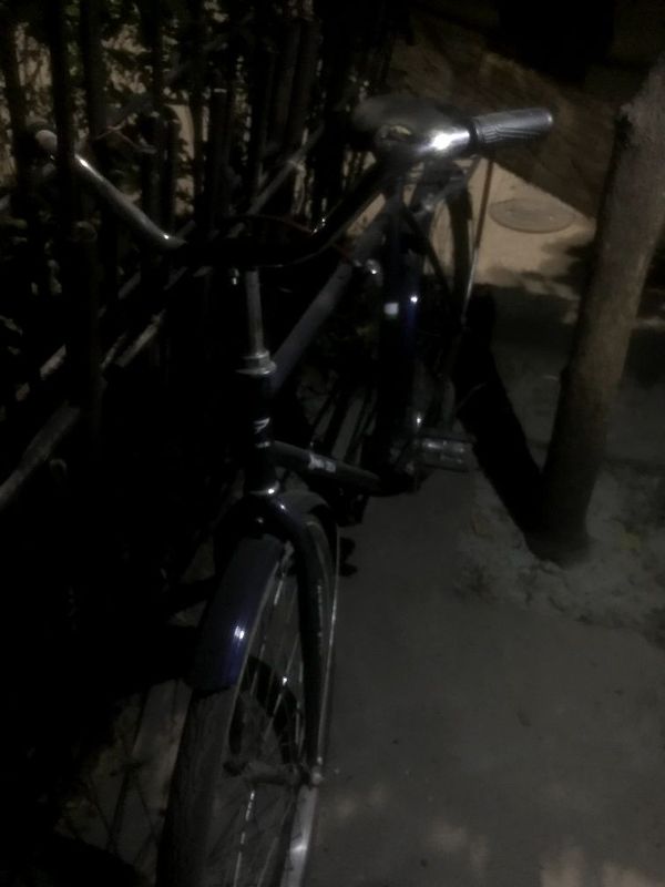 Velik 28 holati yaxshi aybi yoʻq