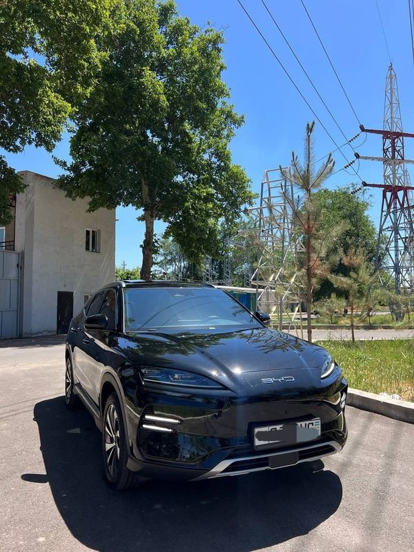 BYD champion 605 FULL yili 2024 BYD champion 605 FULL yili 2024