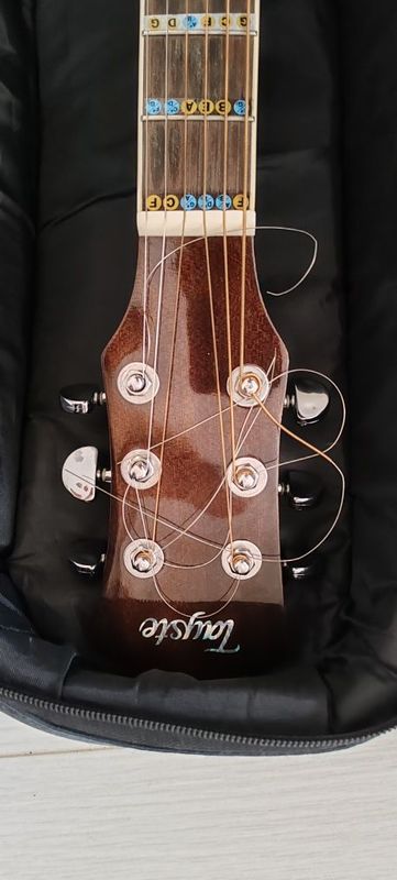 gitara sotiladi srochna
