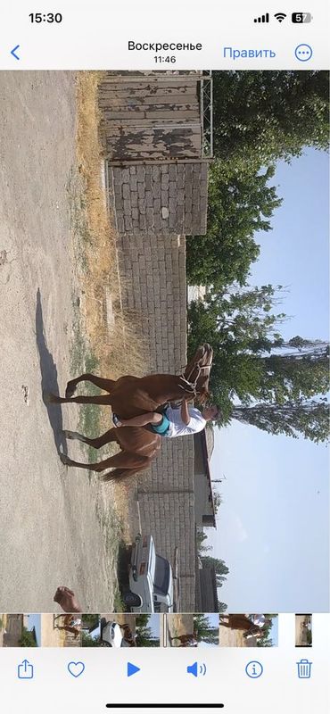 165 boyi . 165 boyi .