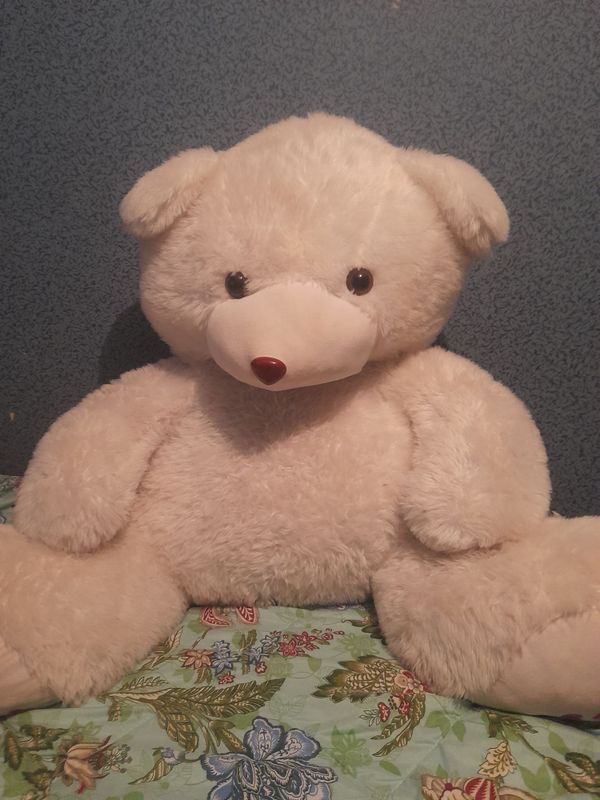 Teddi ayiq bor sotiladi Teddi ayiq bor sotiladi