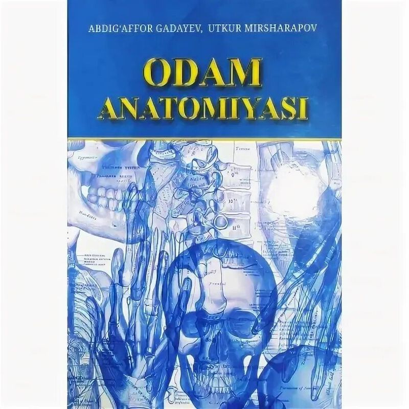 Gadayev Odam Anatomiyasi Gadayev Odam Anatomiyasi