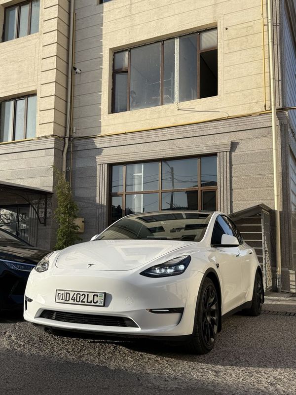 Tesla Model Y Performance Tesla Model Y Performance