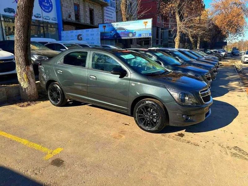 Cobalt midnight 2025 Cobalt midnight 2025