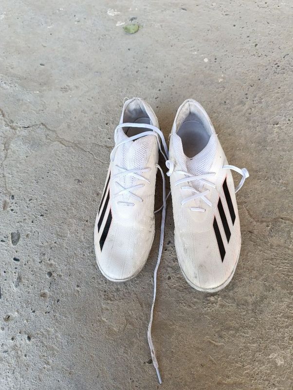 Adidas x arginal