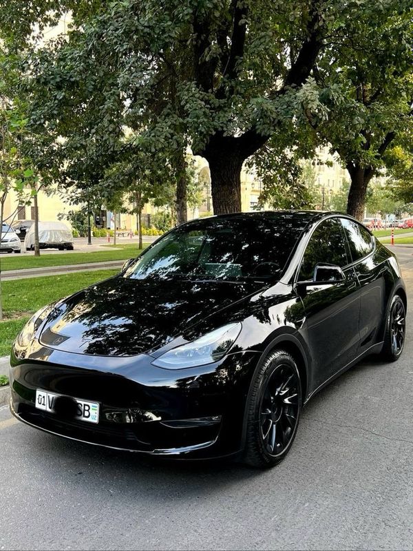 Tesla Model Y Standart 2022/2023 Srochno