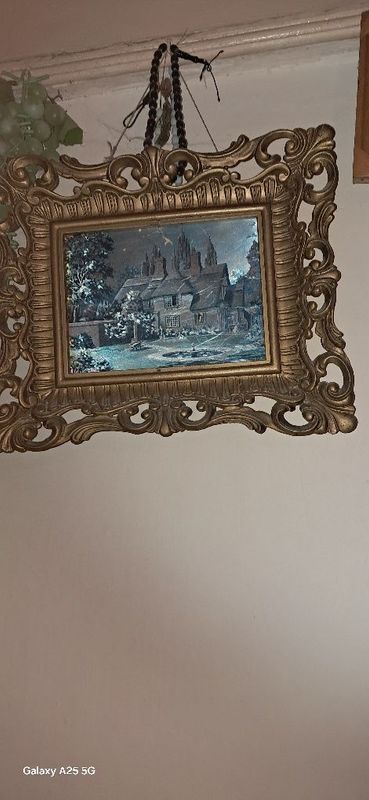 Zõr kaleksiya 55