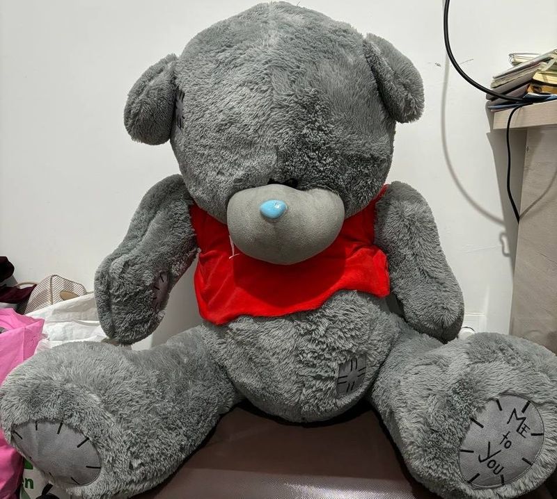 TEDDY AYIQ 80 sm 300 min so'm kelishamiz