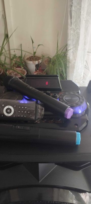 Professional battery speaker