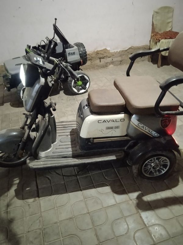 Sukuter holati alo