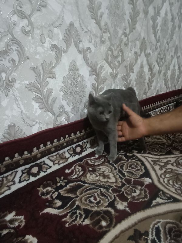 Samarqand viloyati Oqdaryo tumani Samarqand viloyati Oqdaryo tumani
