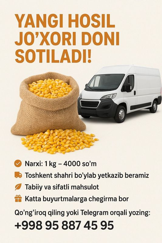 Yangi hosil jo‘xori doni sotiladi! (Dastafka) Yangi hosil jo‘xori doni sotiladi! (Dastafka)