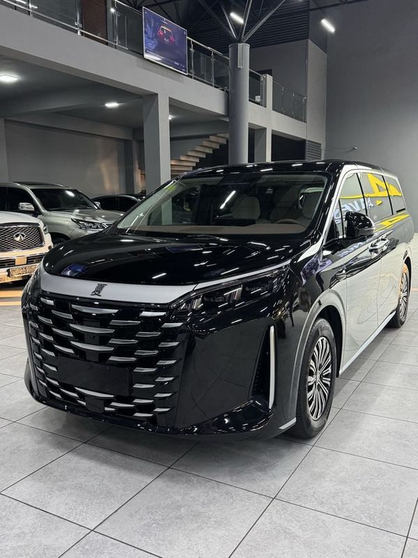 BYD Xia Miniven 2025 BYD Xia Miniven 2025