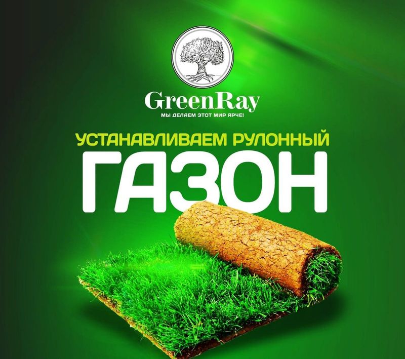 ГАЗОН качественно Sifatli Gazon sepamiz va yotqizamiz gazongreenray