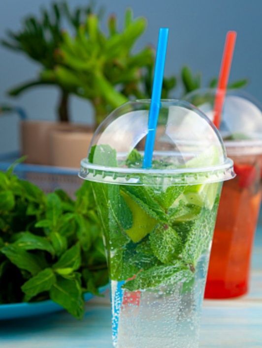 Фруктовый лёд Muz Magazin va kafe fast food lar uchu Фруктовый лёд Muz Magazin va kafe fast food lar uchu