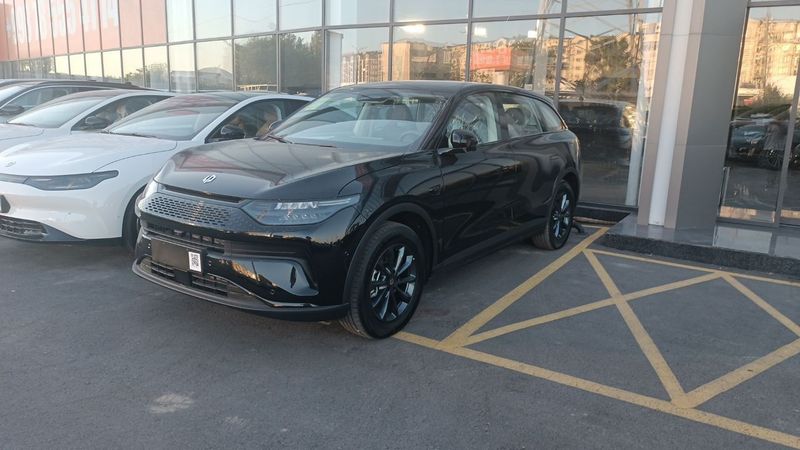 Leapmotor C11 Последовательный гибрид Leapmotor C11 Последовательный гибрид