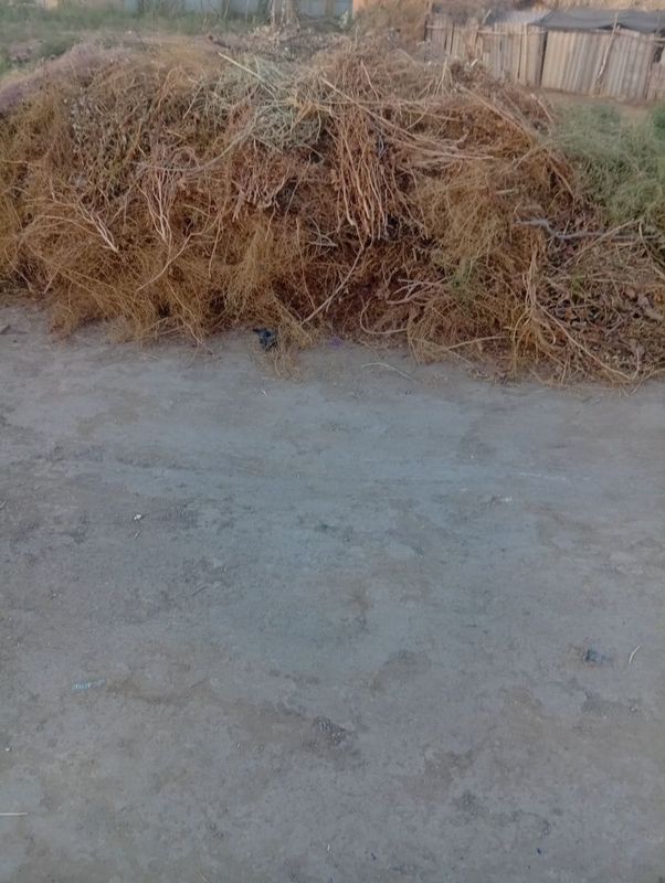 Tikon sotiladi kelishiladi