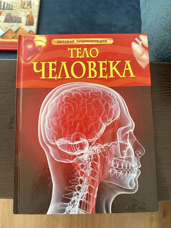 Детские энциклопедии новые Детские энциклопедии новые