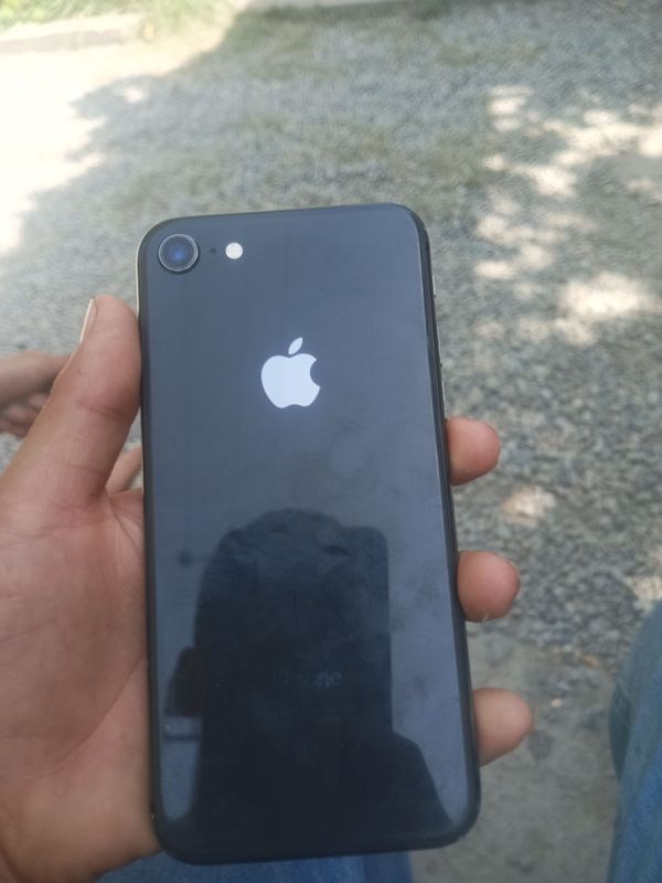 iphone 8yonks 100% narhi 100 hotira 128 kelishamiz