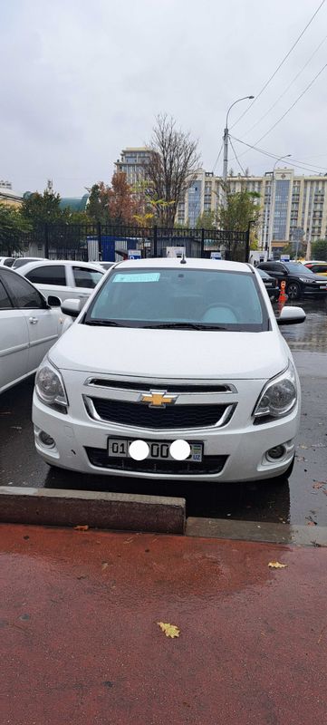 Cobalt LTZ avtomat oq 2024 yil noyabr