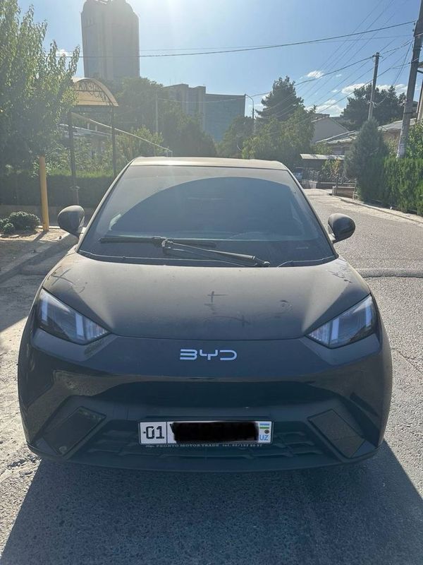 Byd seagull 2024