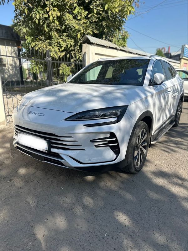 Byd champion gibrid full 150 km
