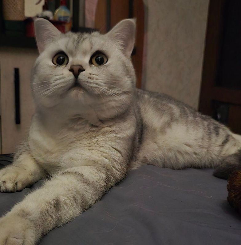 Vyazka qizlarni taklif qilamiz Vyazka qizlarni taklif qilamiz