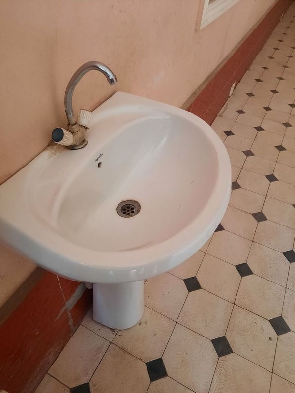Rakvina Apollo srochno Rakvina Apollo srochno