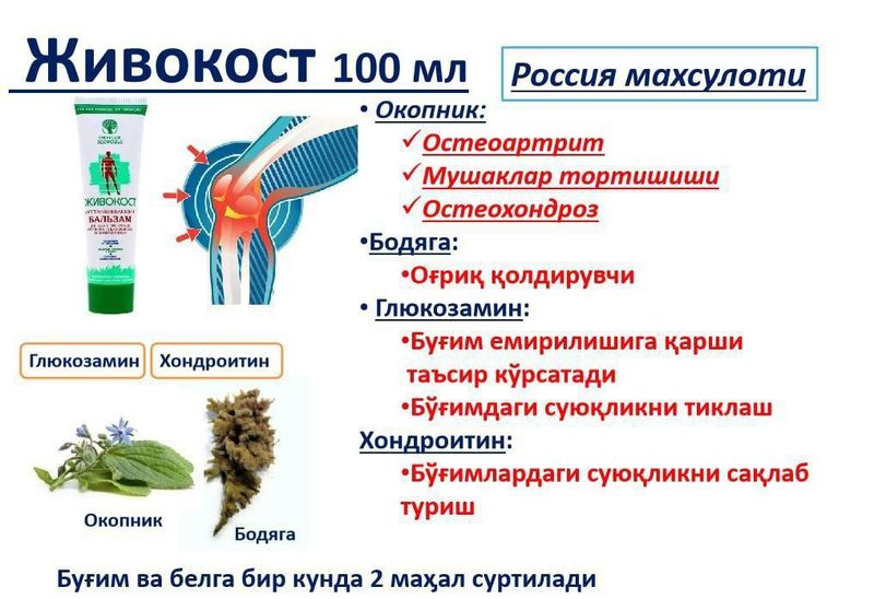 Живокост Сибирское здоровье Живокост Сибирское здоровье