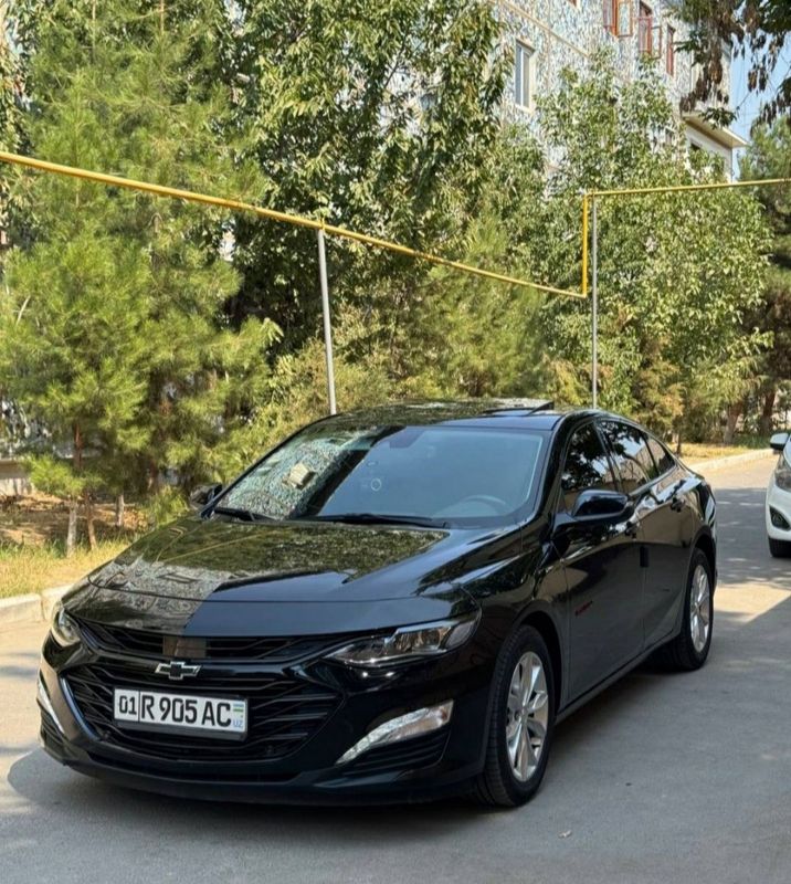 Малибу XL. 2023. Краска тоза. Малибу XL. 2023. Краска тоза.