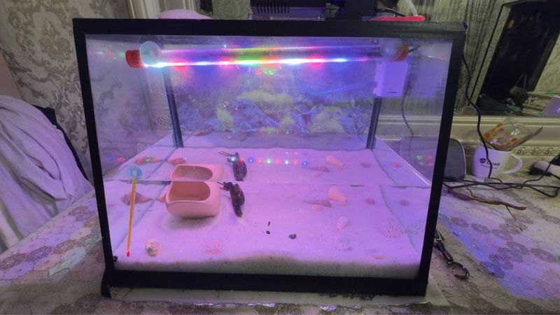 Akvarium Аквариум sotiladi 50 litr Akvarium Аквариум sotiladi 50 litr