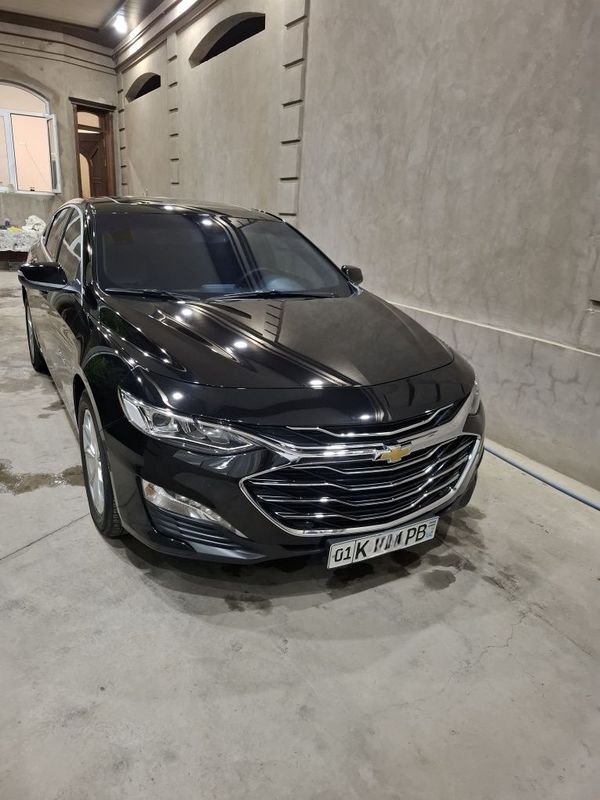 Malibu 2 Premier 2022