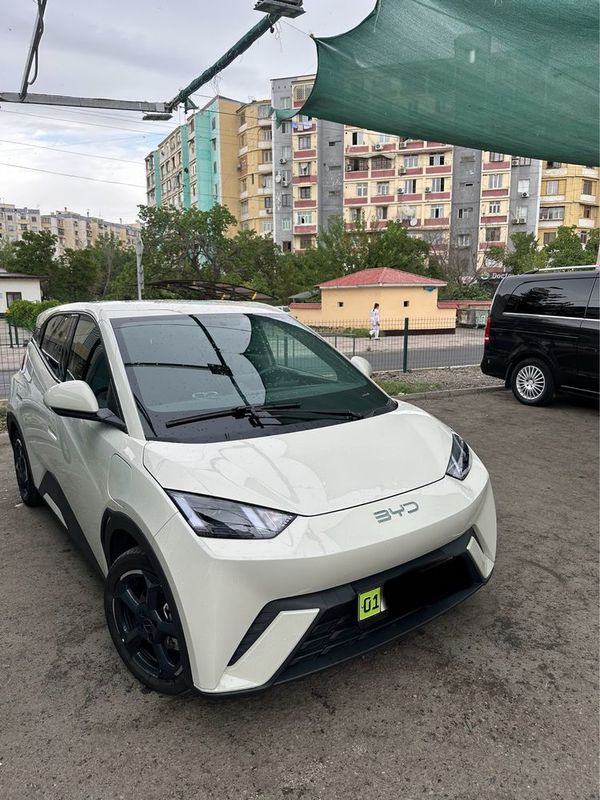seagull byd 2024 yil 405 km yuradigani seagull byd 2024 yil 405 km yuradigani