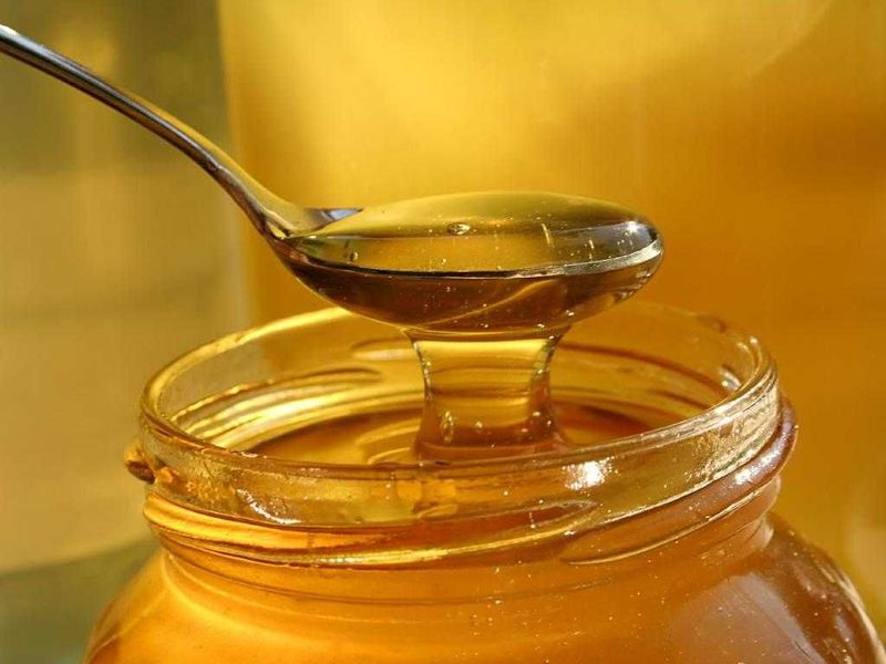 Натуральный мёд от пасеки – Toza asal! Натуральный мёд от пасеки – Toza asal!