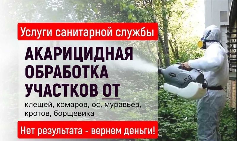 Дезинсекция, уничтожение тараканов, клопов, блох | Гарантия Скидки O-1 Дезинсекция, уничтожение тараканов, клопов, блох | Гарантия Скидки O-1