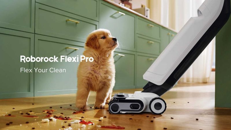 Roborock Flexi Pro global