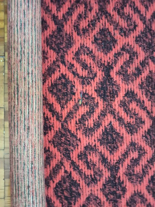 Продаются ковры (2x)