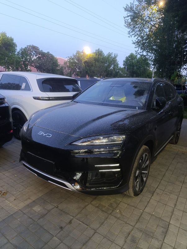 Byd Champion Smart 2025 Byd Champion Smart 2025