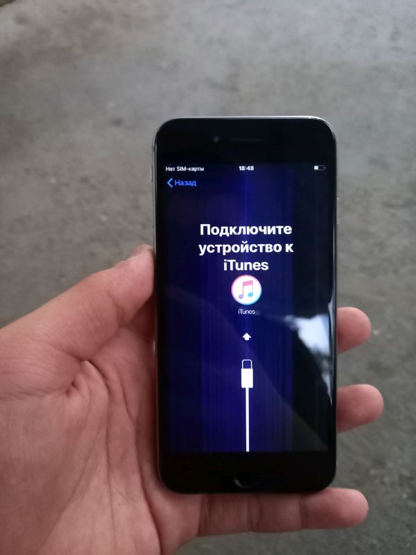 iphone 6