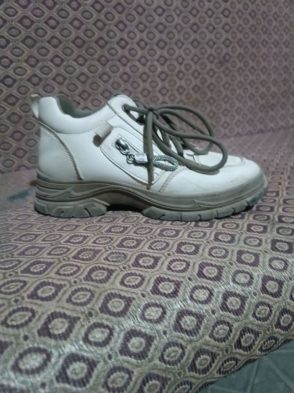 Fashion Fashion