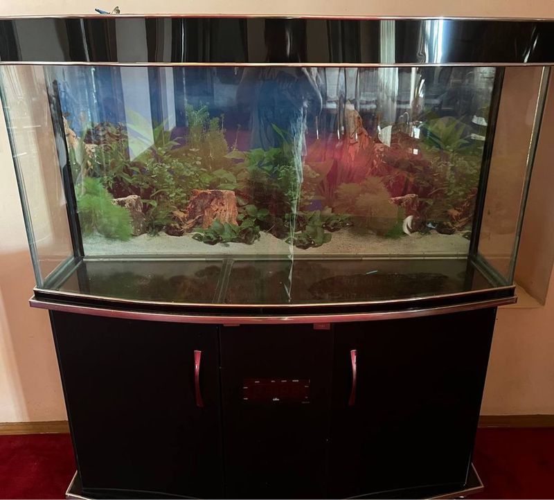 Akvarium sotiladi litr 200 filtr toshi.. ideal holatda Akvarium sotiladi litr 200 filtr toshi.. ideal holatda