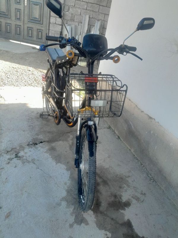 Elektrovelik sotiladi